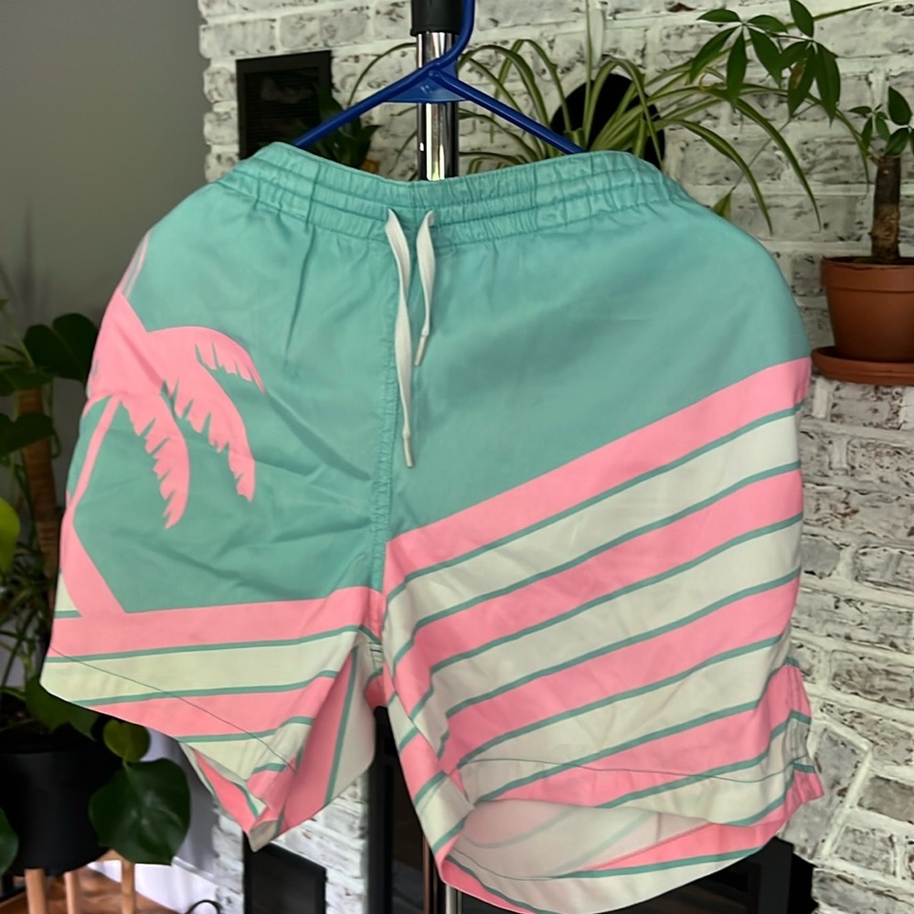 Chubbies Shorts 5.5”